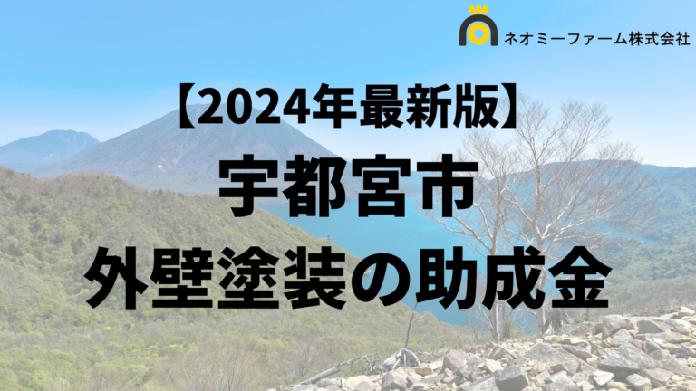 【2024年最新】宇都宮市 外壁塗装の助成金